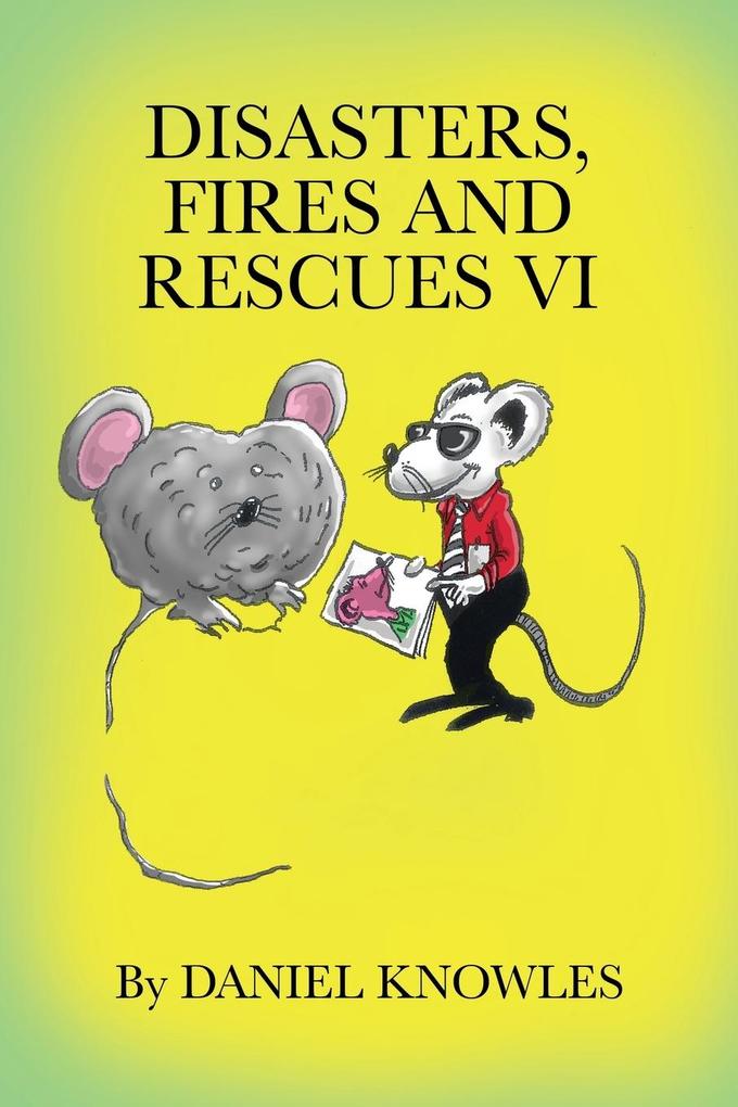 DisastersFires and Rescues Vi