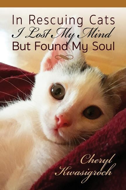 In Rescuing Cats I Lost My Mind But Found My Soul
