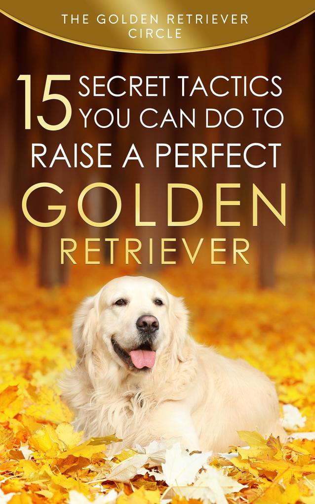Golden Retriever: 15 Secret Tactics You Can Do to Raise a Perfect Golden Retriever