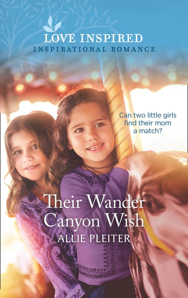 Their Wander Canyon Wish (Mills & Boon Love Inspired) (Wander Canyon Book 1)