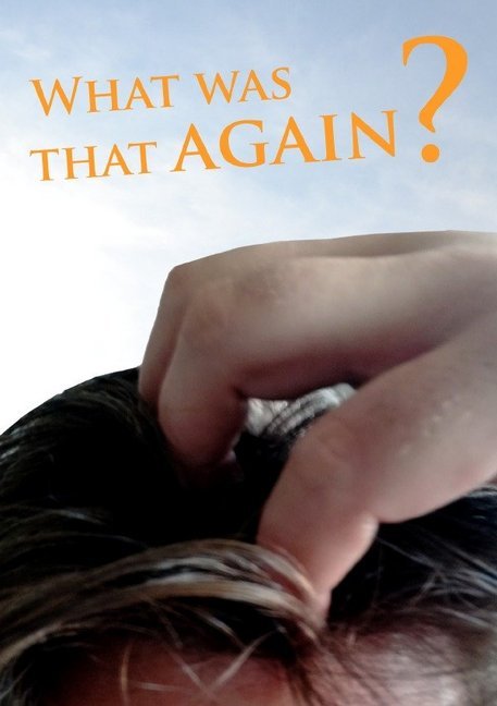 Image of What was that again? - Remember book - Journal notebook / gift book with numbered pages and table o