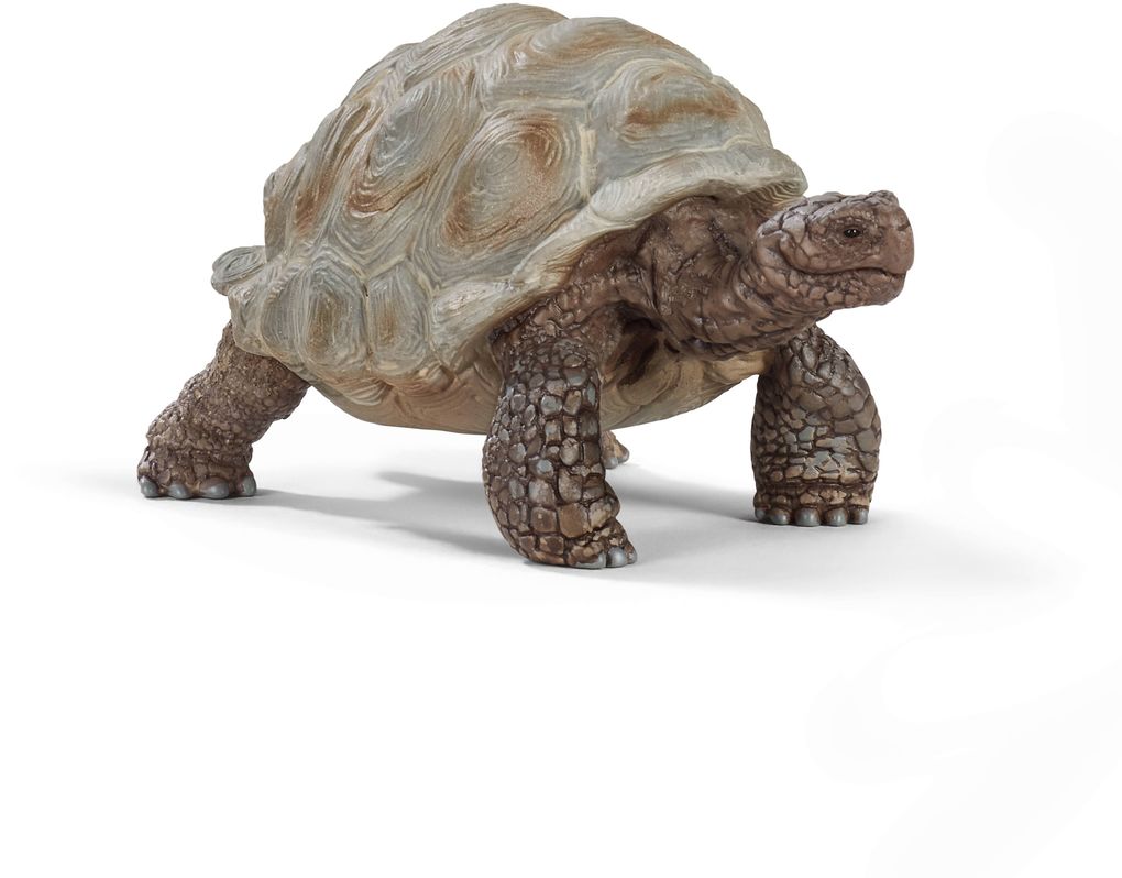 Image of Schleich - Wild Life - Riesenschildkröte