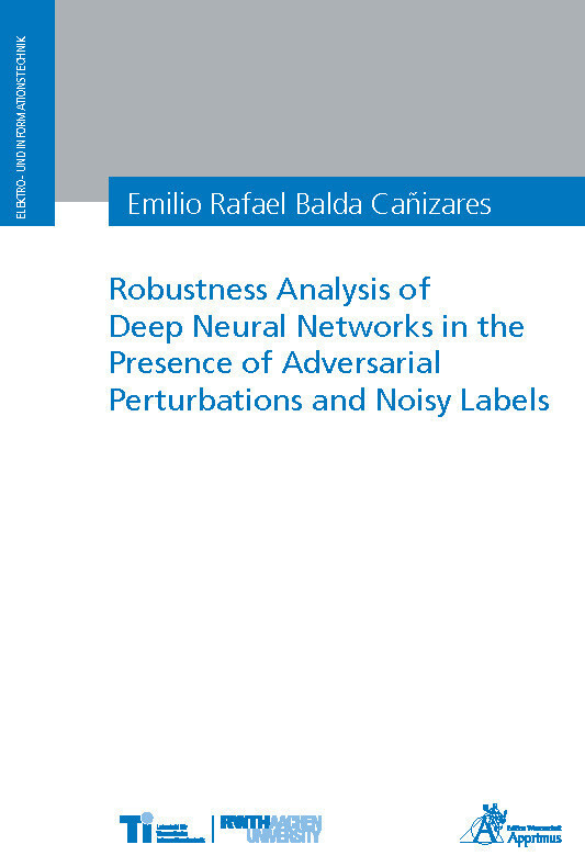 Robustness Analysis of Deep Neural Networks in the Presence of Adversarial Perturbations and Noisy Labels