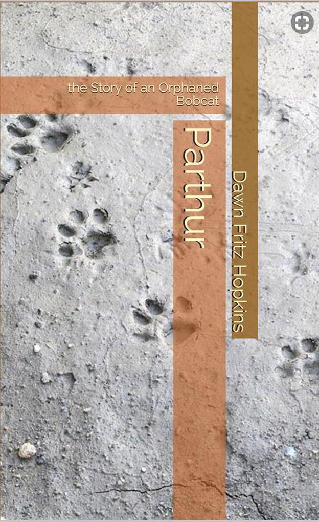 Parthur; the Story of an Orphaned Bobcat