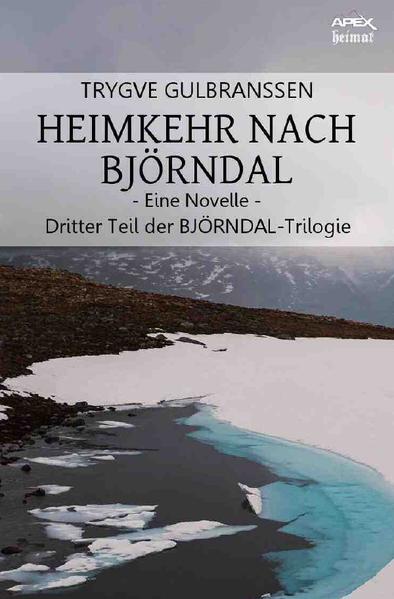 Image of HEIMKEHR NACH BJÖRNDAL - EINE NOVELLE