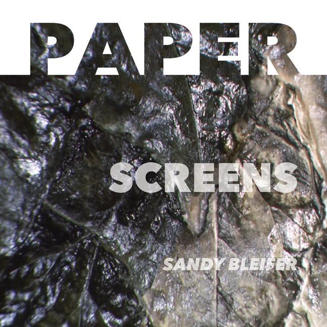 Paper: Screens: Enabling a Sequential Reading of Art