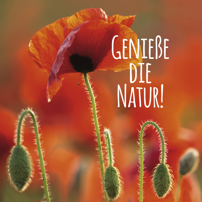 Image of Genieße die Natur!