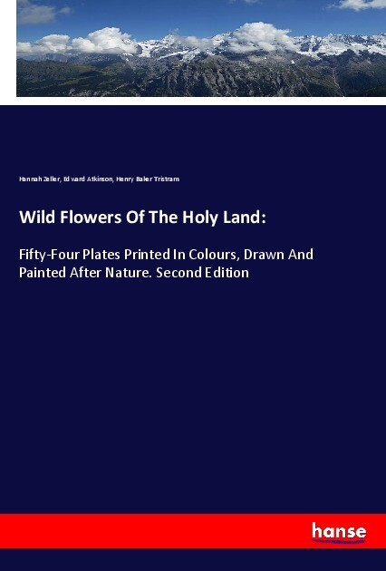 Wild Flowers Of The Holy Land: