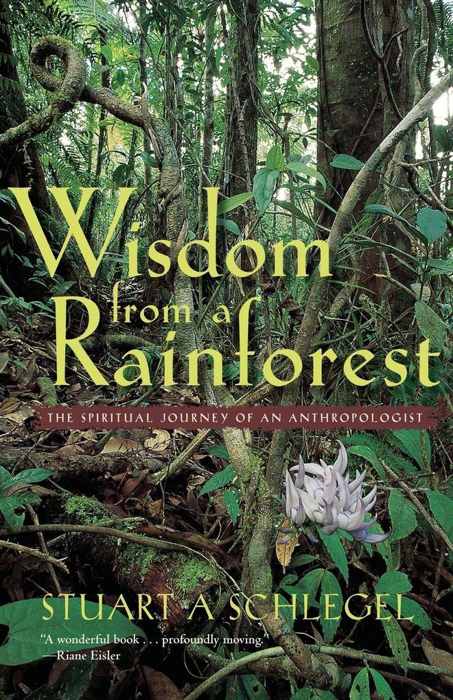 Wisdom from a Rainforest