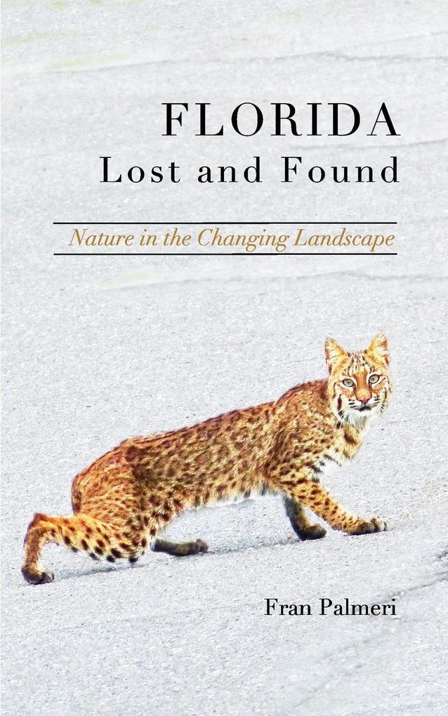 Florida Lost and Found