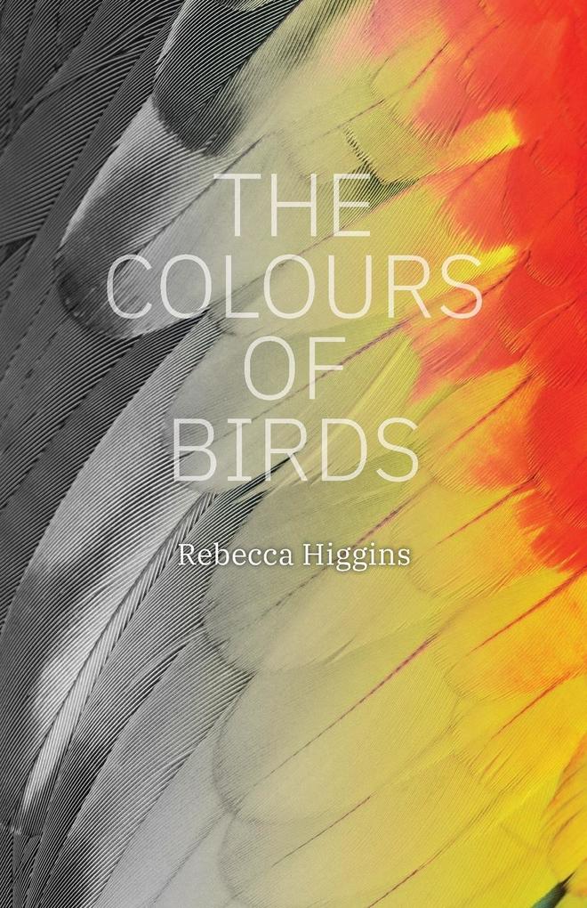 Image of The Colours of Birds