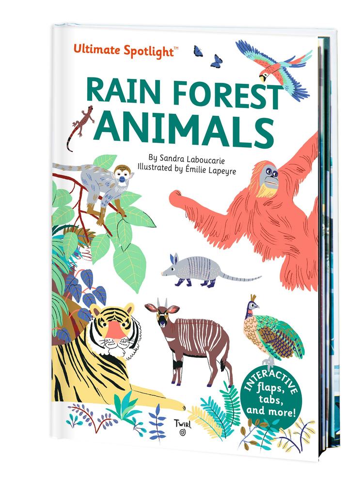 Image of Ultimate Spotlight: Rain Forest Animals