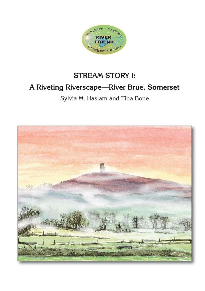 STREAM STORY I
