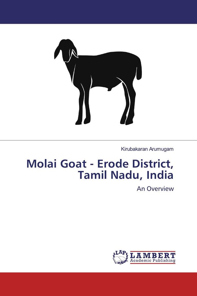 Molai Goat - Erode District Tamil Nadu India