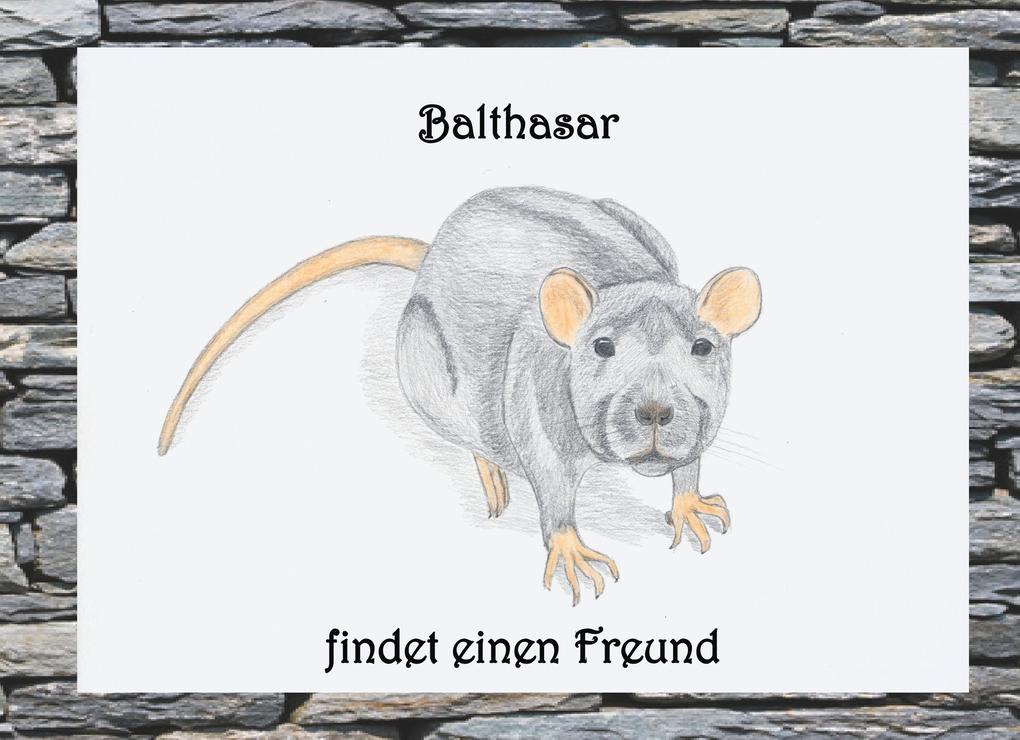 Image of Balthasar findet einen Freund