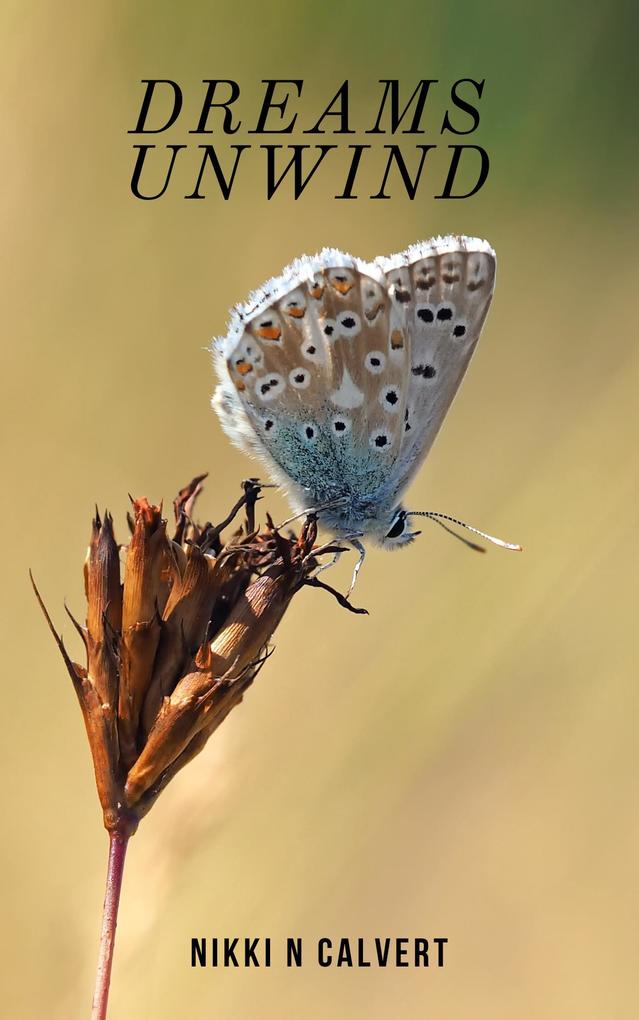 Dreams Unwind (Wells-Ackman #4)
