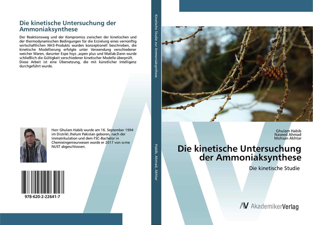 Die kinetische Untersuchung der Ammoniaksynthese
