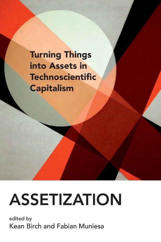 Assetization