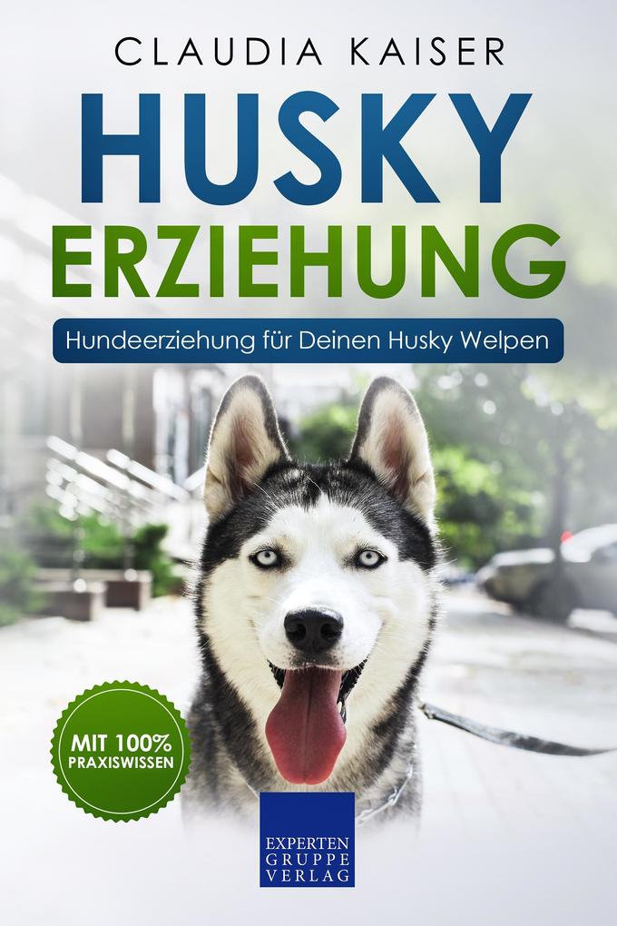Husky Erziehung: Hundeerziehung für Deinen Husky Welpen