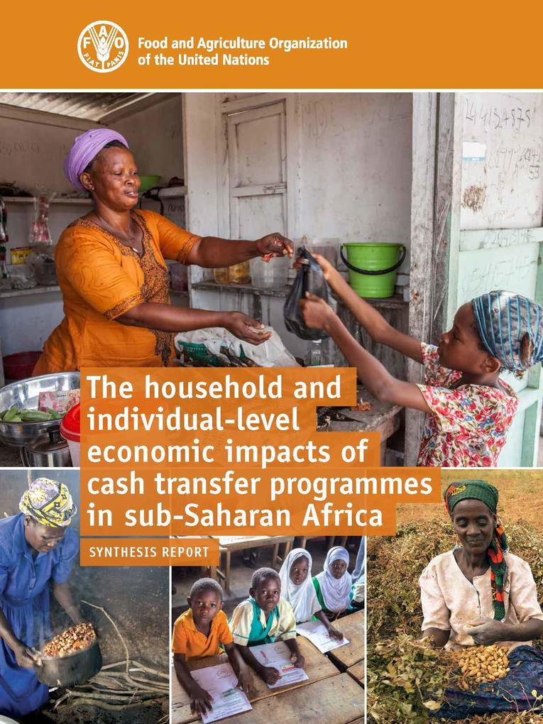 The Household and Individual-level Economic Impacts of Cash Transfer Programmes in Sub-Saharan Africa