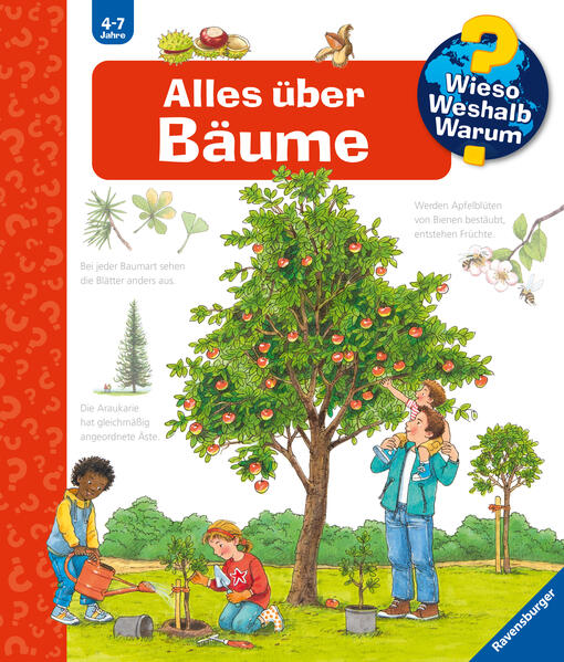 Image of Alles über Bäume / Wieso? Weshalb? Warum? Bd.52