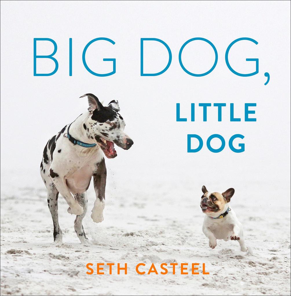 Big Dog Little Dog