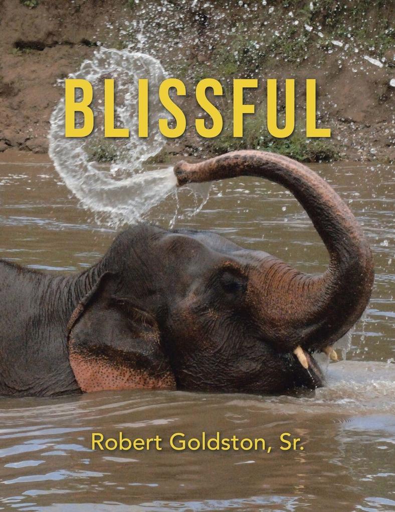 Blissful