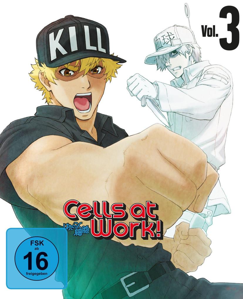 Cells at Work!