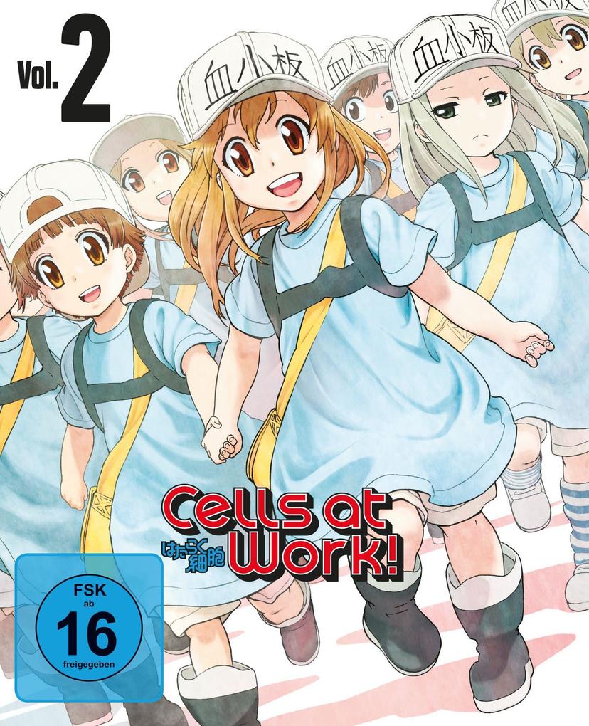 Cells at Work!