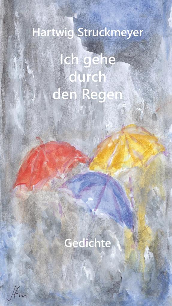 Image of Ich gehe durch den Regen