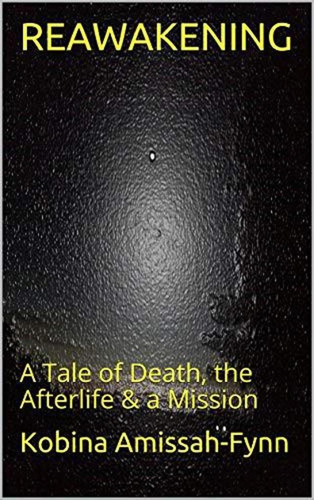 Reawakening: A Tale of Death the Afterlife & a Mission