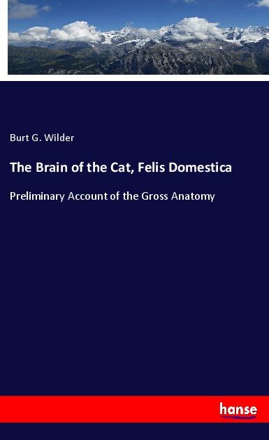 The Brain of the Cat Felis Domestica