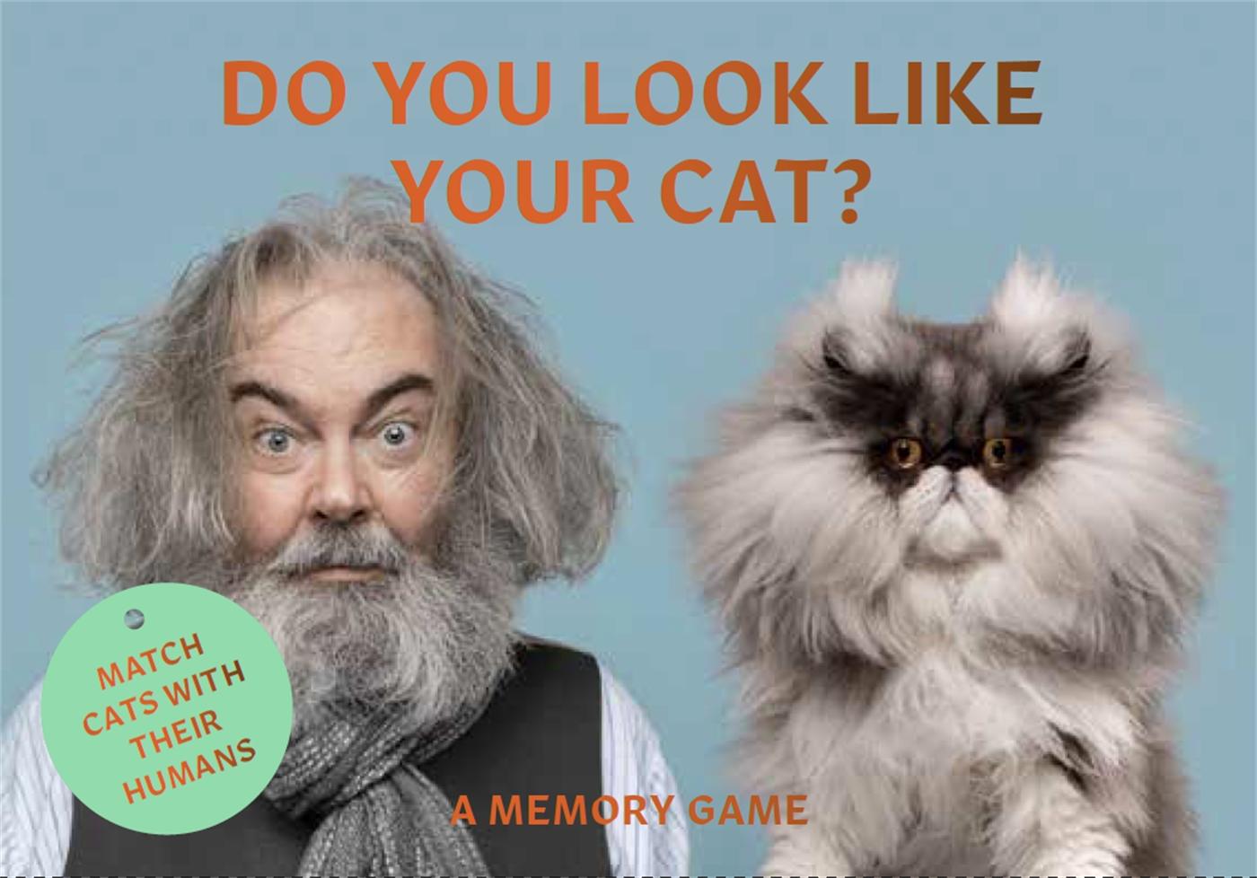 Image of Do You Look Like Your Cat?: Match Cats with Their Humans: A Memory Game