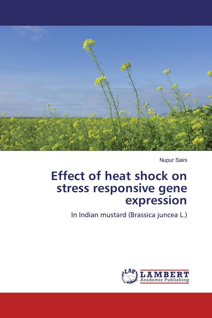Effect of heat shock on stress responsive gene expression