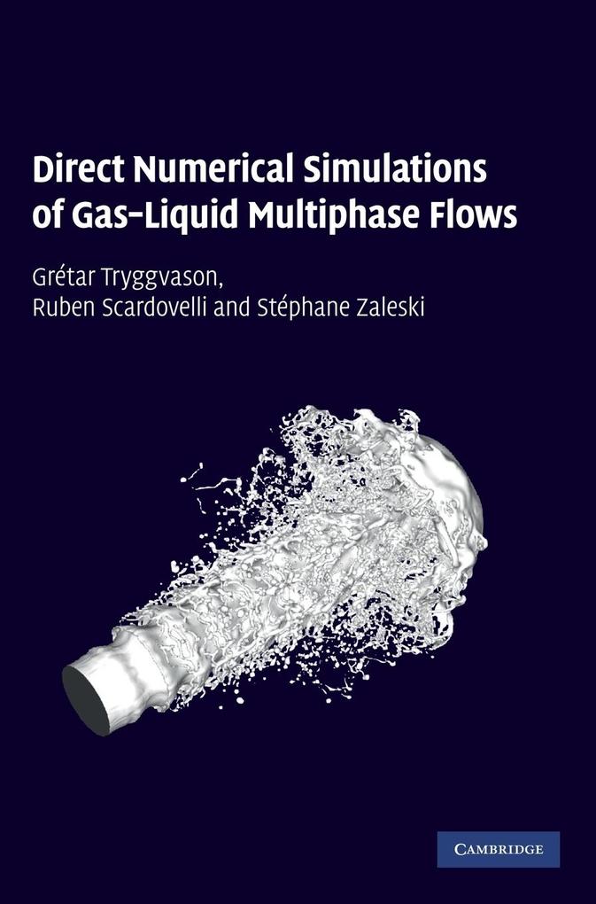 Direct Numerical Simulations of Gas-Liquid Multiphase Flows