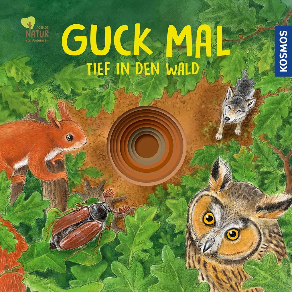 Image of Guck mal tief in den Wald