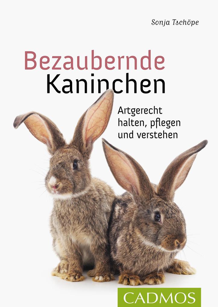 Bezaubernde Kaninchen - Sonja Tschöpe