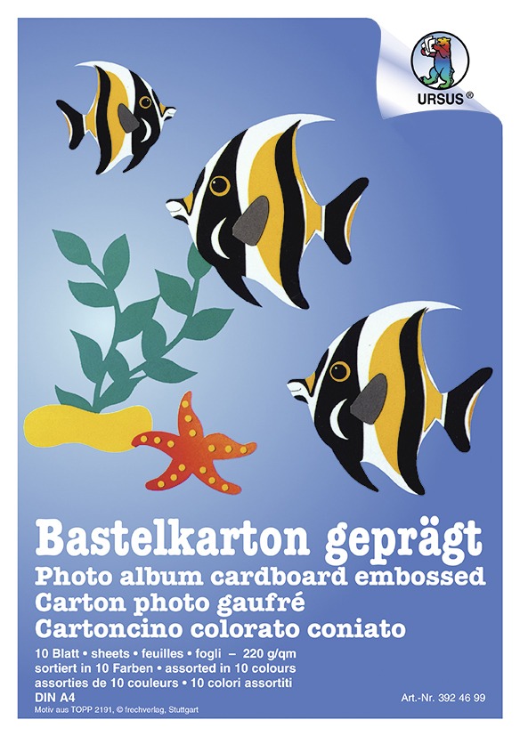 URSUS Basispapiere Bastelkarton-Block 220 g/m² Format DIN A4 10 Blatt sortiert