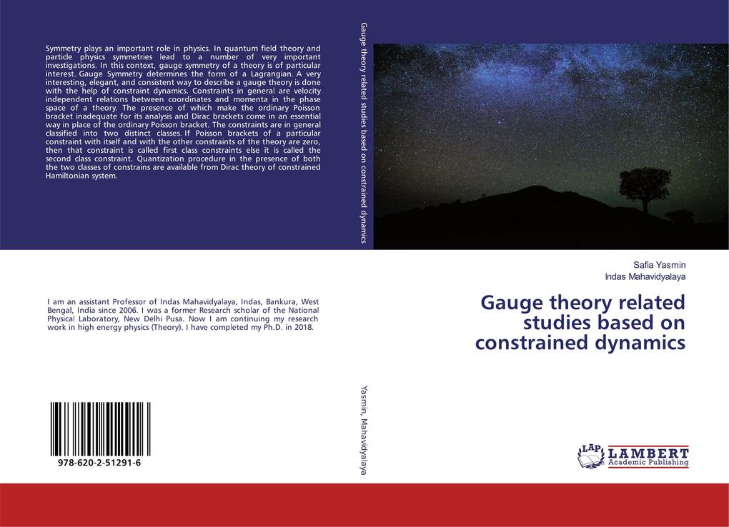 Gauge theory related studies based on constrained dynamics