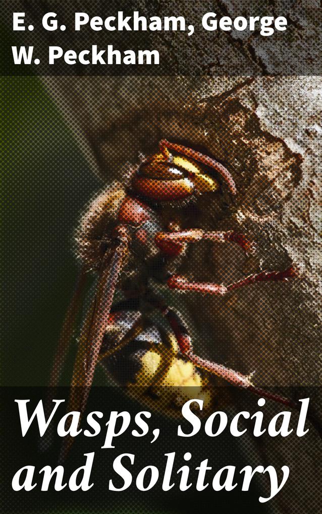 Wasps Social and Solitary