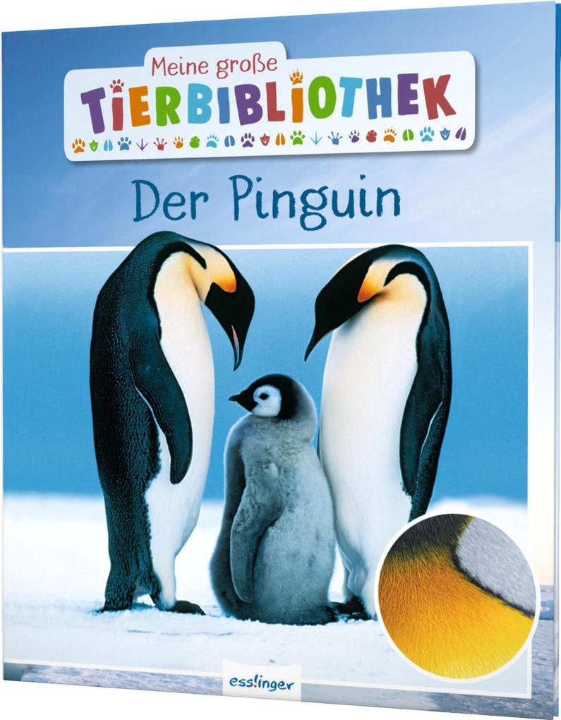 Meine große Tierbibliothek: Der Pinguin Jens Poschadel - Bild 6