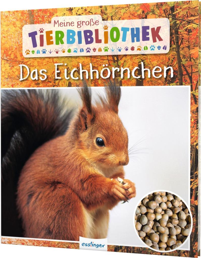 Image of Das Eichhörnchen / Meine große Tierbibliothek Bd.20