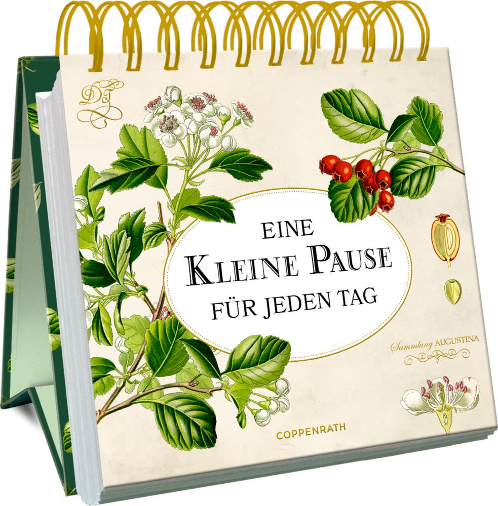 Image of Eine kleine Pause für jeden Tag