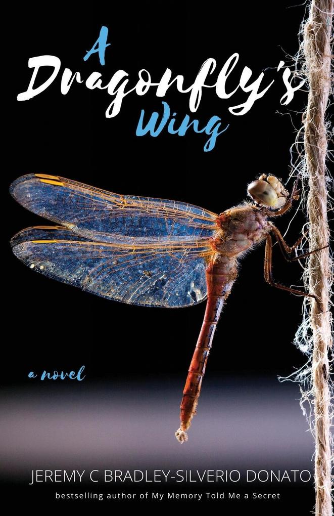 A Dragonfly's Wing
