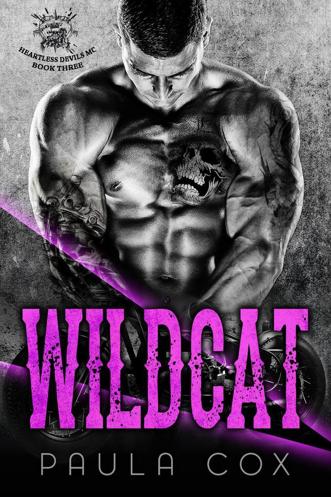 Wildcat (Book 3)