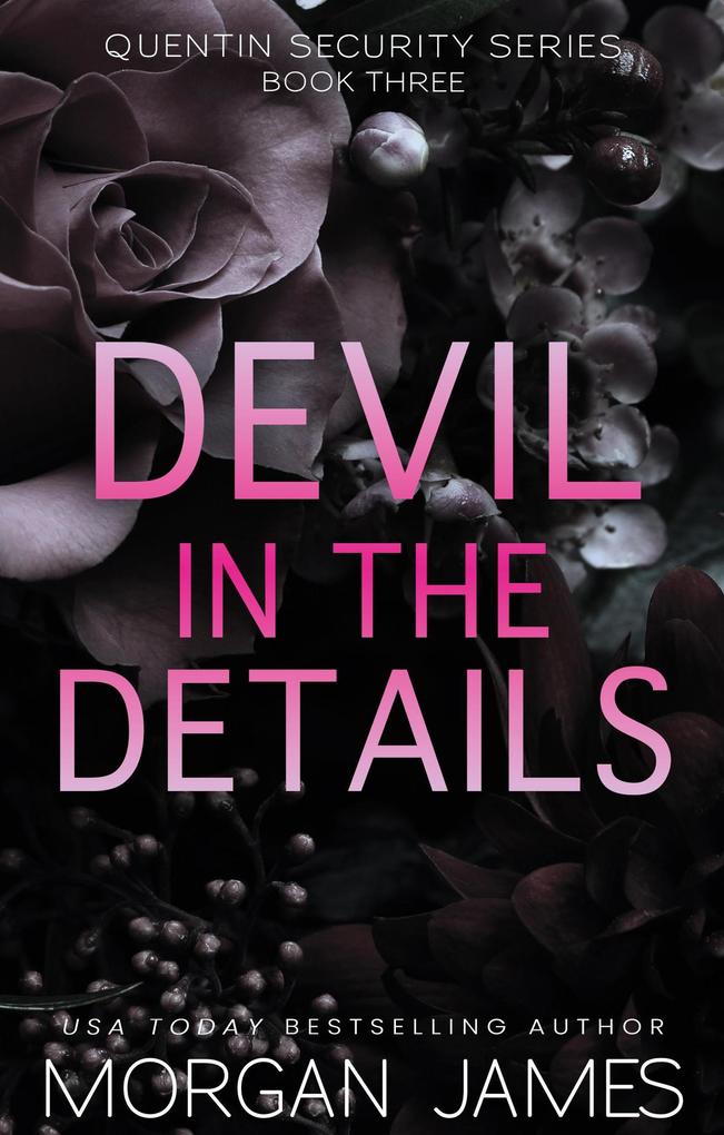 Devil in the Details (Quentin Security Series #3)