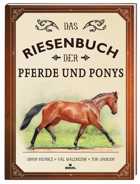 Image of Das Riesenbuch der Pferde und Ponys