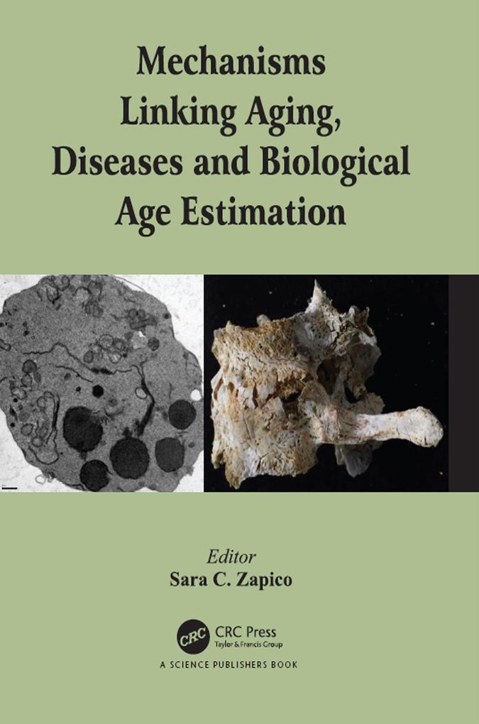 Mechanisms Linking Aging Diseases and Biological Age Estimation