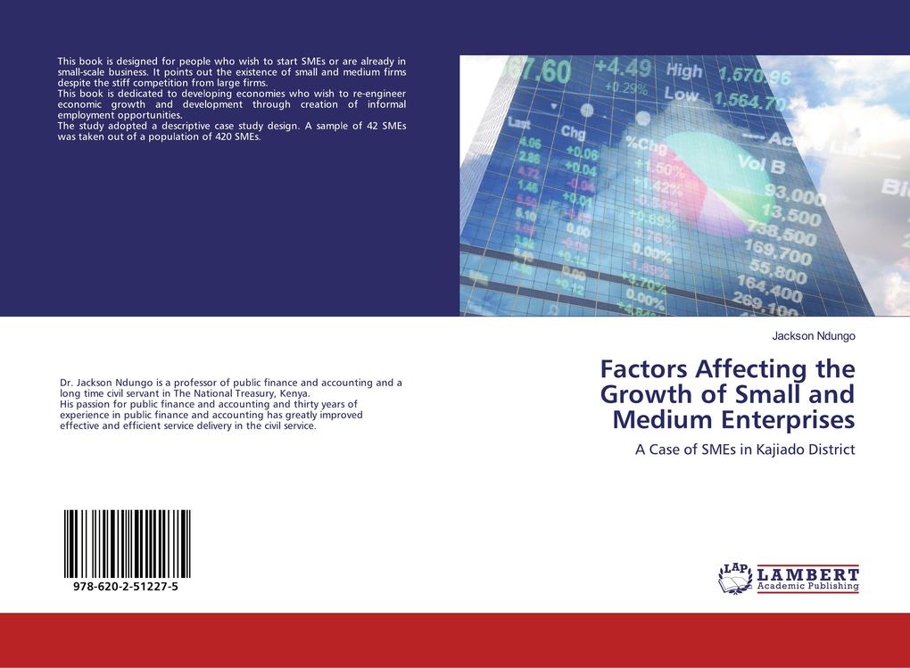 Factors Affecting the Growth of Small and Medium Enterprises