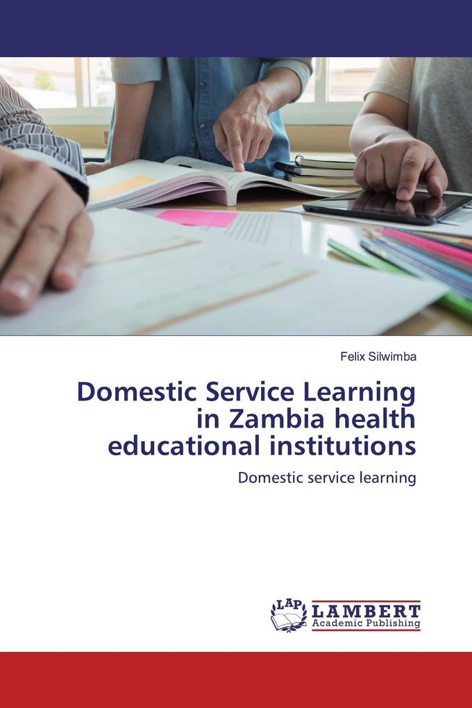 Domestic Service Learning in Zambia health educational institutions
